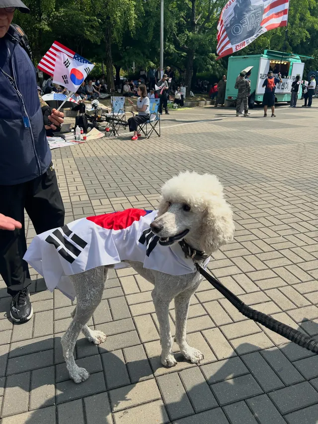 ㅋㅋㅋㅋㅋㅋㅋㅋ애국알파카는 양말 한짝 오디갔어 ㅜ