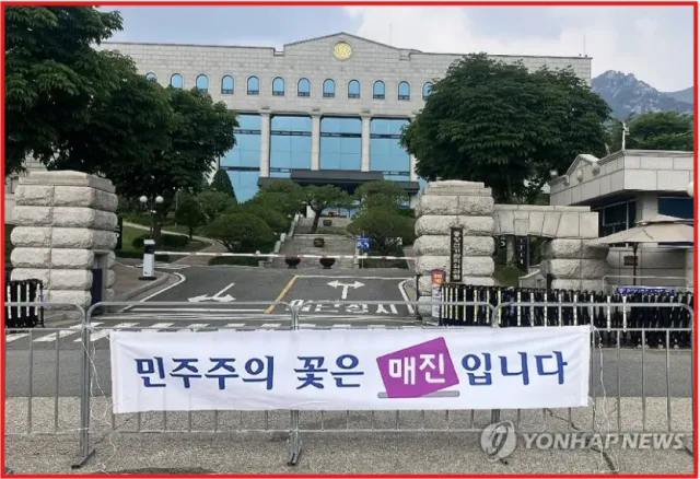 민주주의 꽃은 매진입니다!