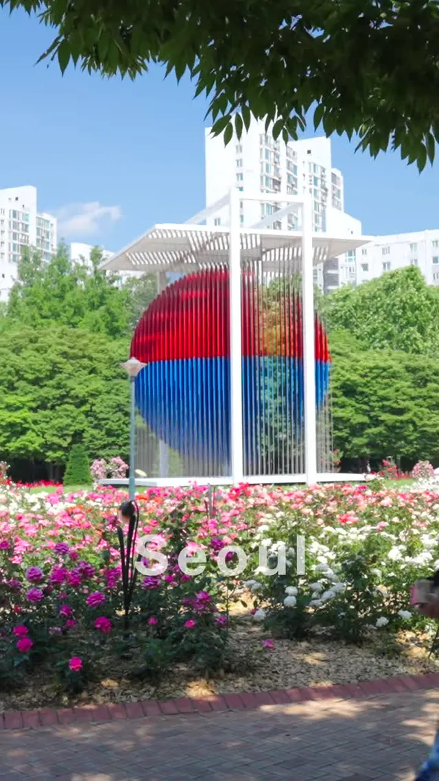 올림픽공원 장미광장 🌹 Olympic Park Rose Plaza 📹 Full Video https://youtu.be/TaF5w3Cy4Io