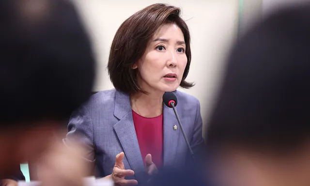 나경원 “내가 오세훈이면 당장 재선거”…국힘 내 ‘재선거’ 요구 확...

국민의힘 나경원 의원이 6·3 지방선거에서 문제가 발생한 선거구에 대