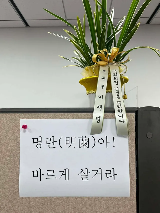 李축하난 거부했다 받은 국힘 김태규 “명란아, 바르게 살거라”

6·3 지방선거와 함께 치러진 재보궐 선거에 출마해 당선된 국민의힘 김태규 의원