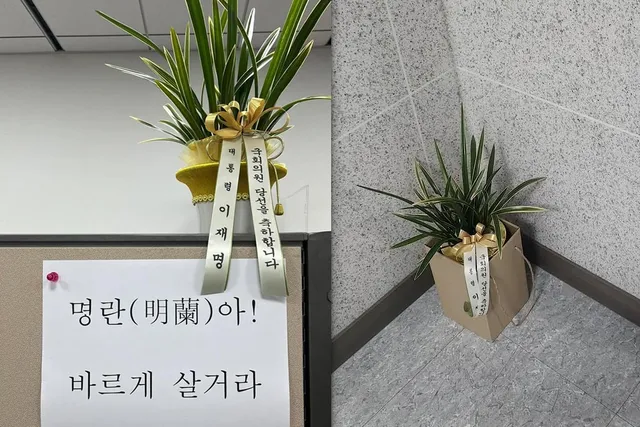 "난이 무슨 죄, 이름은 '명란'"…李 축하난 거부 번복한 김태규

"난이 무슨 죄, 이름은 '명란'"…李 축하난 거부 번복한 김태규, 전날 "