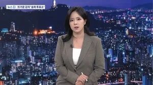TV조선 기자, 장동혁 '재선거'에 "선거책임 피하고 연임 키우냐는 비판...

6·3 지방선거 투표지 부족 사태를 두고 2030을 중심으로 반
