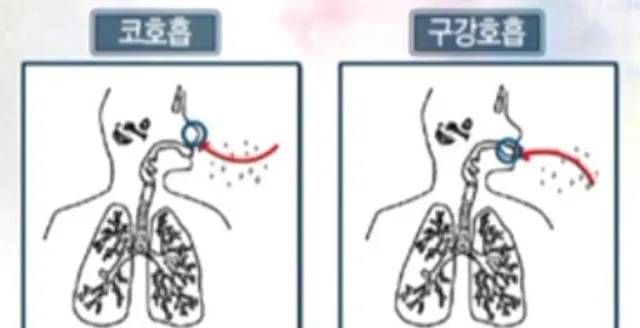 긴급)
입수된 정보에 따르면 코로 호흡하는건 대진연이 모여서  호흡하는 방법이랍니다!!!! 
올공 주변에 코로 숨쉬는 사람이 있다면 꼭 짐검사+