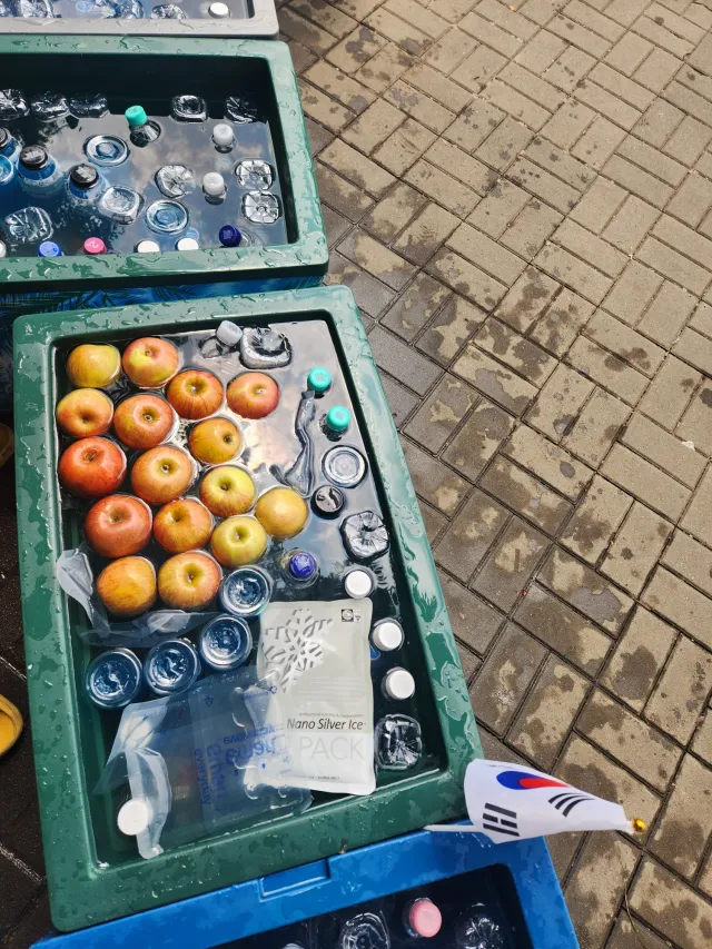 올공 1-3쪽
자봉좀 많이들 와주세용
물건이 쌓여있어요
아침 사과🍎
#재선거