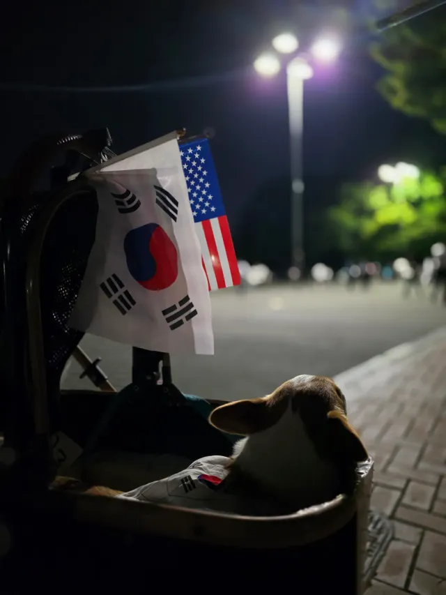 6/13 01:33 a.m.
잠실 민주화운동 기록

다양한 사람들이
각자의 자리에서
자신이 할 수 있는 방법으로
잠실 민주화운동에 참여하고 있어