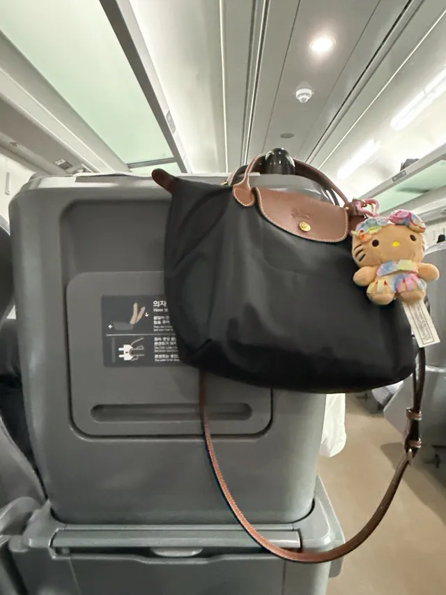 내일 올공에서 보자🫡🇰🇷
구미에서 서울 가는중 🚊🏃‍♀️
남편이랑 나랑 둘다 뚱뚱해서 대진연으로 오해받지는 않겠지ㅠ ㅠ 
성조기는 샀는