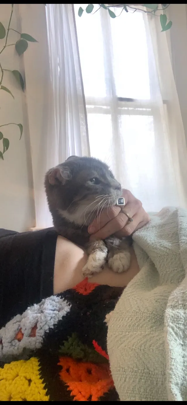 about a year after, Mary was back with her person 💞