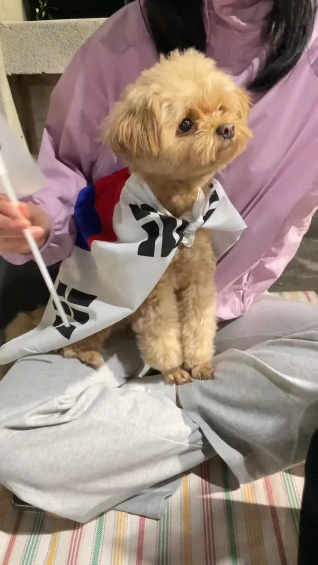 아직 선관위에 있는 친구들아
택시안잡혀… ㅠㅠ
나 집까지 40분 걸어서 왔음…

길에 전부 아미들이 택시잡고있어… 
나 걸어 오는동안 한 200