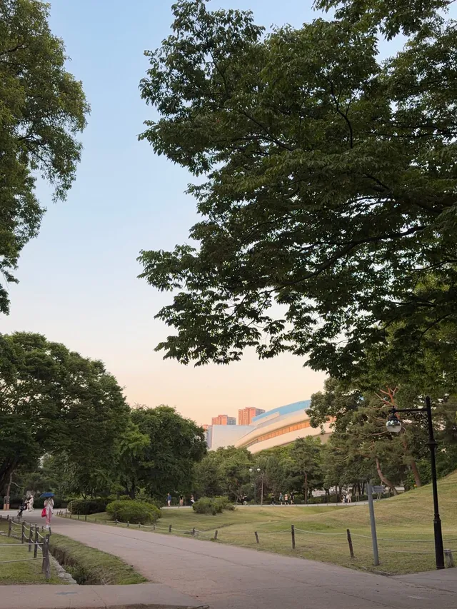 올공 가면 힐링 되는 이유