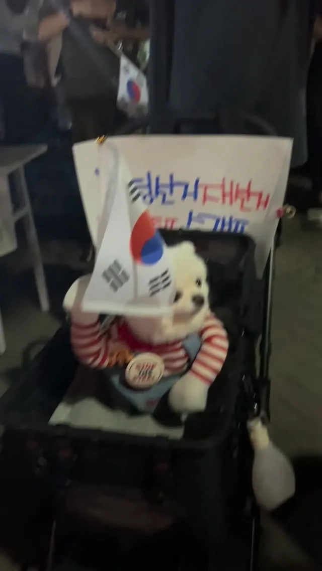 너무 귀여운 애국 강아지 보신 분~!! 😍🇰🇷