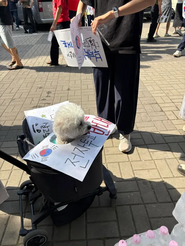 귀요미