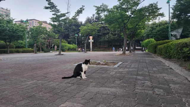 저 재선거 외치려고 수원 올공 왔는데
다 어디 가셨어요