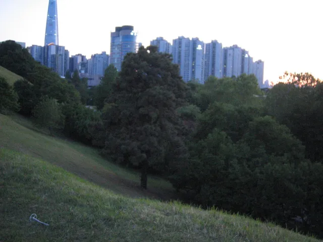 올림픽공원 다녀옴! 🌳✨

해 질 무렵 되니까 저 멀리 롯데타워도 보이고, 잔디밭에 비치는 나무 그림자가 너무 예뻐서 찍어봄. 가만히 앉아만 