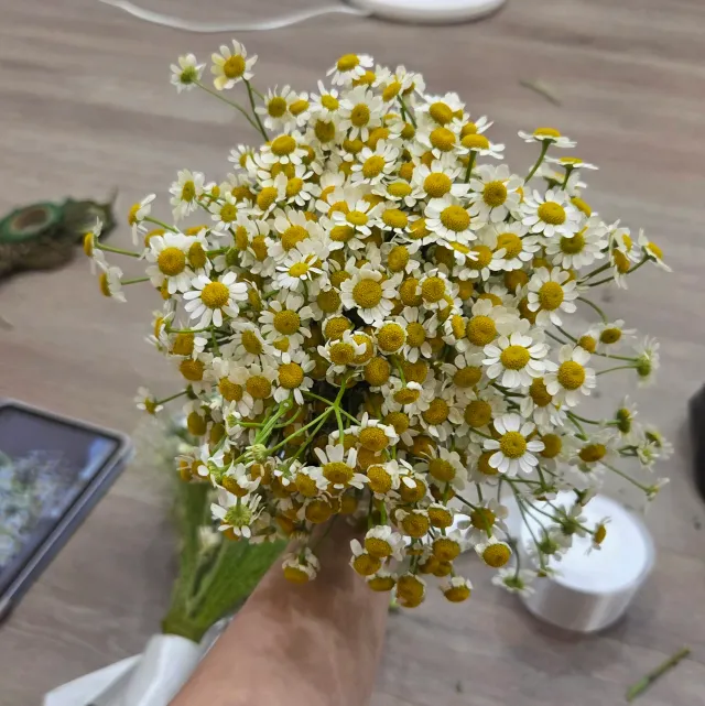 웨촬 이슈로 일찍 복귀했어요
먼저 들어가서 죄송합니다

셀프 부케 만들겠다고
나대다가 처참히 망했....
이럴거면 올공에서 깃발 더 돌렸지...