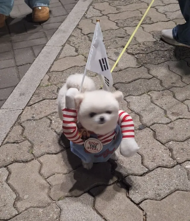 최근 올림픽공원을 "올공"이라 부르더군요수많은 사람들이 자발적으로 모여서 무료 음식 나눔도 하고, 같이 노래도 부르고 거의 축제의 장인 듯 합니
