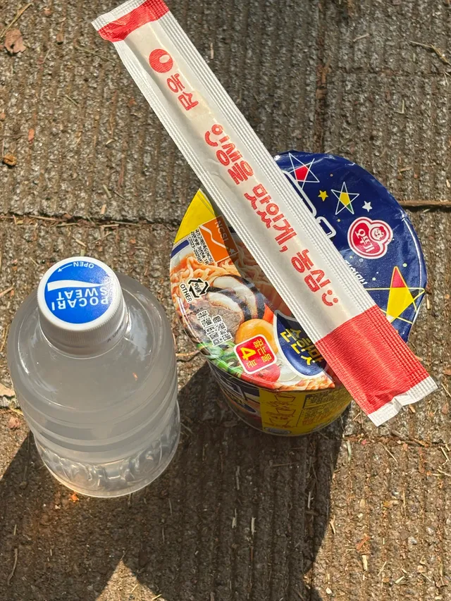 새벽 4시 40분에 일어나 1시간 정도 주변을 둘러본 뒤, 아침을 먹기 전까지 태극기를 흔들었습니다. 4시간 동안 태극기를 흔들었습니다.