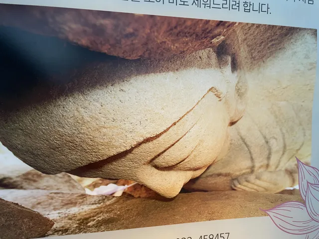 아 이런거 미친인간같아 보여서 진짜 싫은데
지반붕괴 자꾸 보인다 지금 너무 소름끼쳐
불안 조장 하려는 게 아니고 나도 올공 가던 중이야