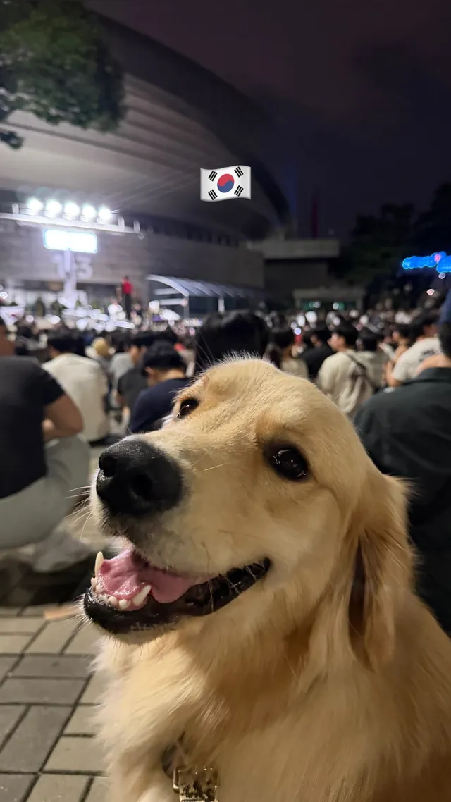 누둥이도 잠실 왔어여 ! 🇰🇷 
 어떤 외국인 분이 Jason go! 적어 오셨던데 
 제이슨고 ! 외치면서 해맑게 뛰어다니심 ㅋㅋㅋ

  