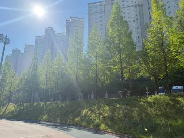 2026:06.14 (일) 16:28.

서울 마을버스를 잘 안타는 이유가
기사님들이 mbc를 하도 틀어서인데..❌

내가 방금 탄 버스는 젊은