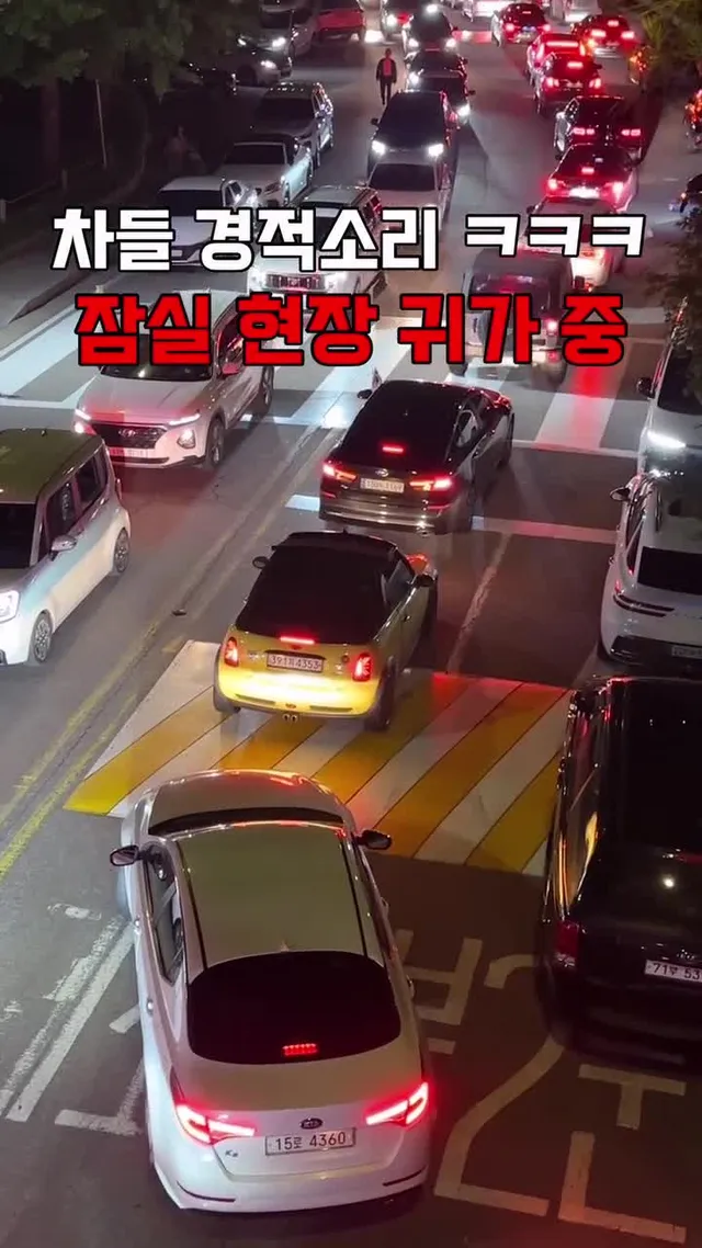 차들도 경적으로 애국 ㅋㅋㅋ