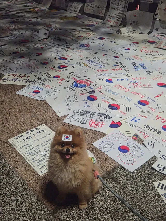 지금 올공상황좀 알려줄수있어??
주차상황, 비 오는상황...
차갖고갈지, 강아지 우비입혀야할지...
앵무새는 데려갈까하는데(목소리가 커서 도움될