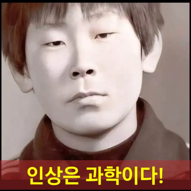 게시물 미디어
