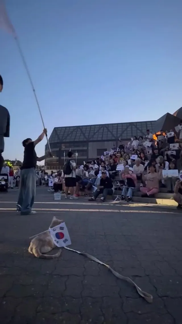 나나도 
냥대표로 어제 올공에서 함께 했다냥🇰🇷

부정선거
재선거
당일투표
수개표
🐾🐾🇰🇷🇰🇷