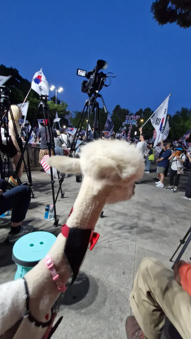 올공 저녁에 찍은사진 첨부
(스레드야 인간적으로 페어플레이 하자! 조회수를 1/10은 너무하잖아?)

토요일 7시-8시 사이
