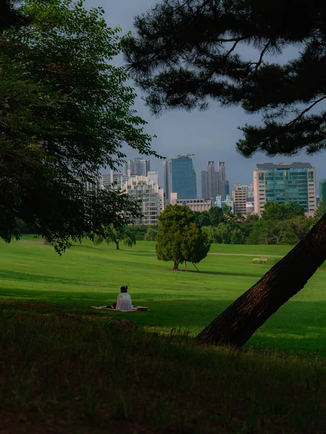 여름의 한조각

📍장소:올림픽공원(Olympic park)

여름하면 생각나는 올림픽공원 

피크닉하기에 너무 좋은 장소이죠