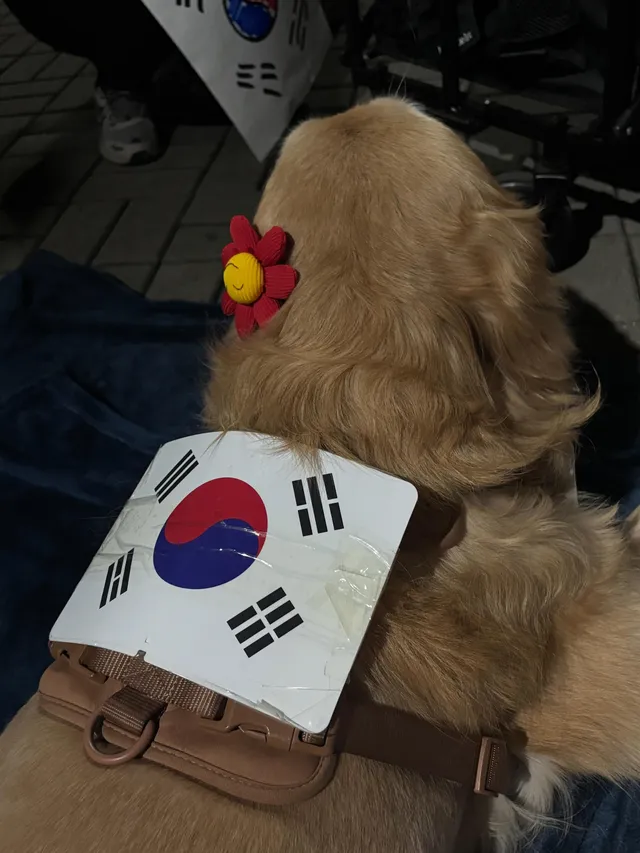 1-3 자원봉사가 꿀인 이유

애국 강쥐 몽이 쓰담가능
