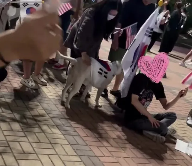오늘 팩트정리

1:올공 서울 경찰분들 시민 평화시위보장한다=

우린 평화롭게 의사표현하니 안심해도됨 

이상한 사람들 있으면 일러=탈쓰고 화내
