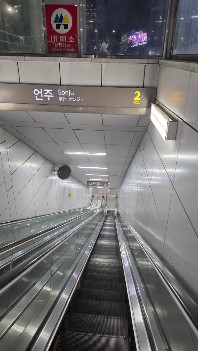 야근 마치고 올공 출동!