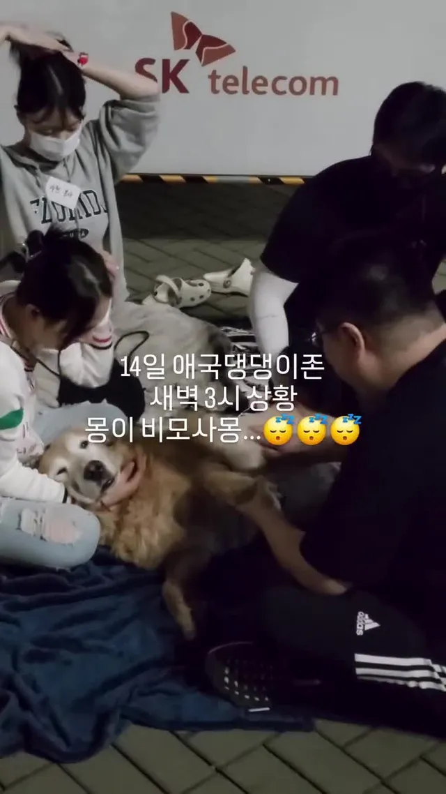 #몽비똥 #잠실민주화운동