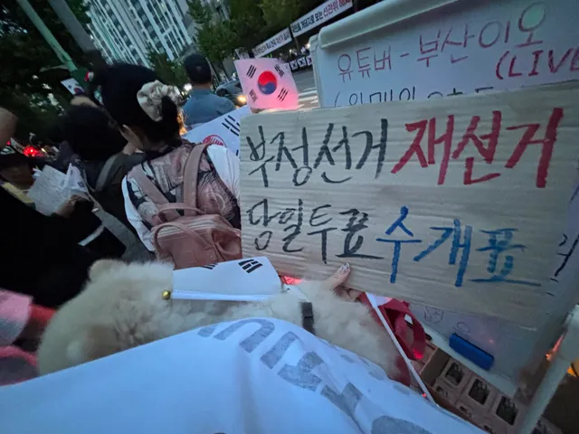애기 재우고 강아지 데리고 부산 선포위 집회 참석했어 .ᐟ.ᐟ 
재선거하는 그날까지 화이팅 🇰🇷