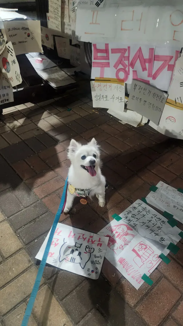 메이 in 올공