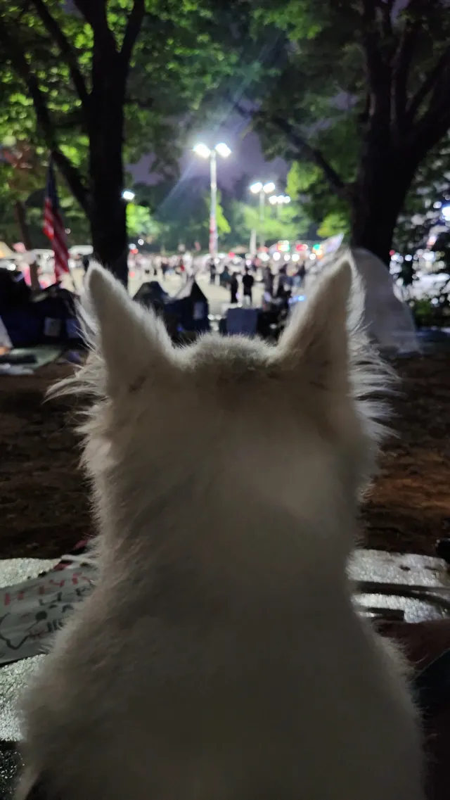 퇴근하고 본가에 들렸다 집에와서
집사람이랑 메이 태우고
9시넘어서 올공 도착해서
3시간 정도 머물다 이제 집도착해서 씻었다.

내일 회사가서
쫌