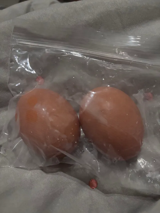 아니 , 나 진짜 다 큰 내향인이라 
알아서 다 할 수 있어서 
개인 담요챙겨오고 
배고플까봐 계란 챙겨오고 
빈틈을 노리다가
정말 소리없이 입
