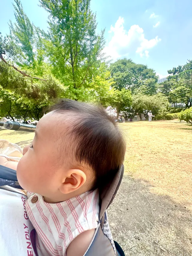 대한민국 새싹들 건들이기만해봐🐥🌱 

안보이는곳에 다른 새싹들도 엄청많음.... 
아줌마 운다...