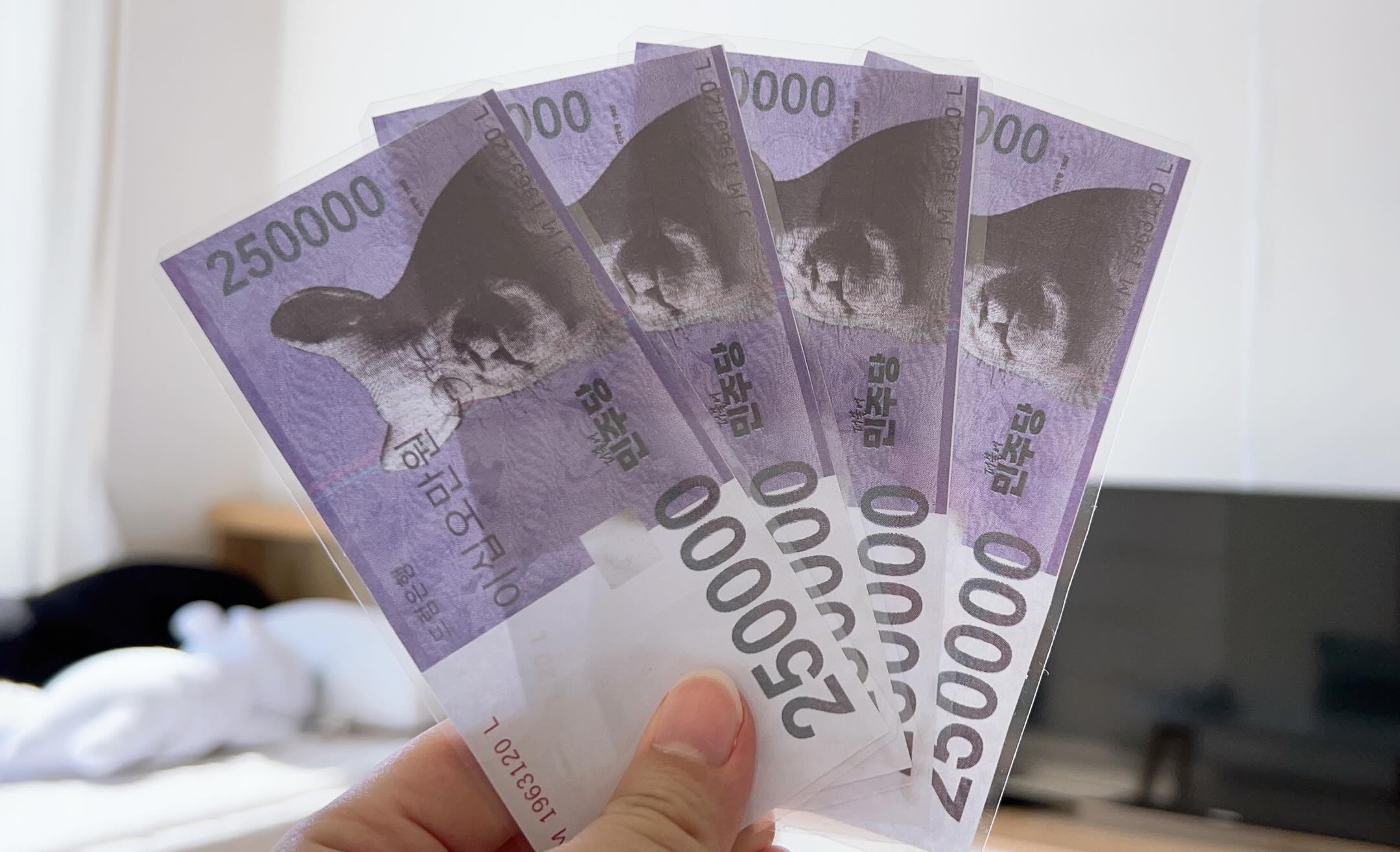 올공 오시는 애국자분들을 위해 민생회복쿠폰 총 50장(1200만 원 ㄷㄷ)을 준비 중이에요
다음 주에 봐요💕
