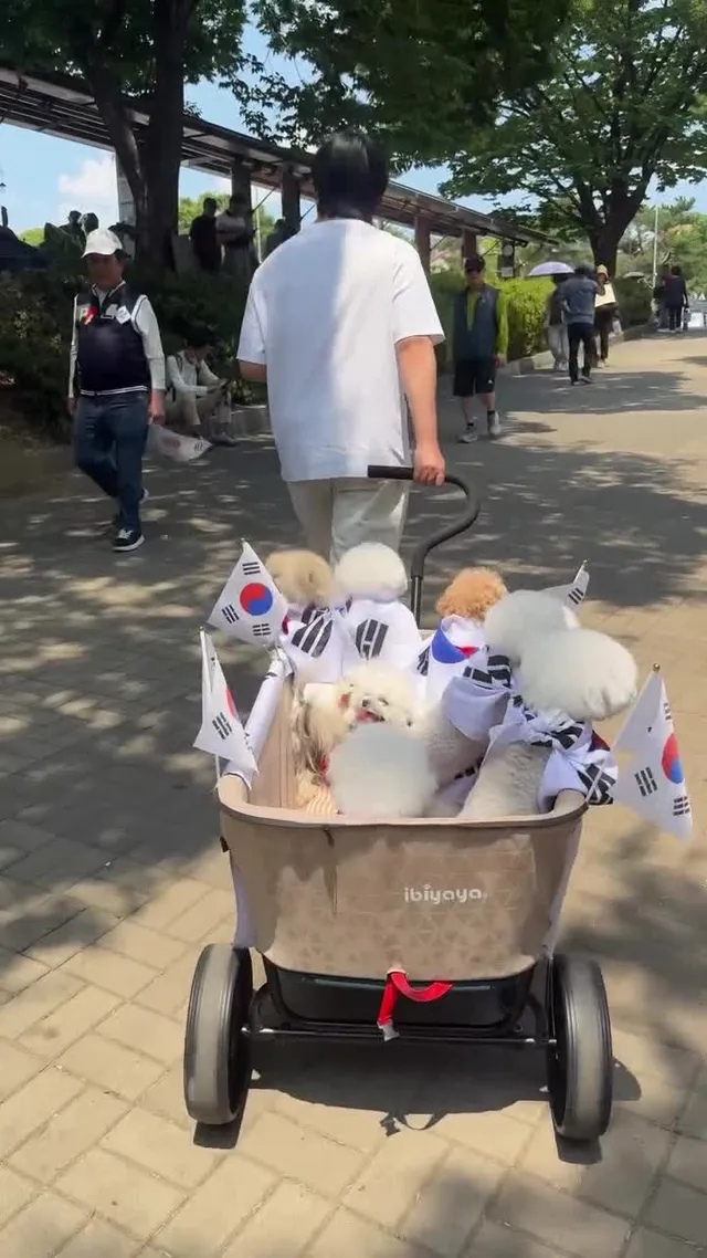 안녕 오늘 아빠랑 처음으로 올공다녀왔어
ㅂㅈㅅㄱㅈㅅㄱ🇰🇷🙏🏻