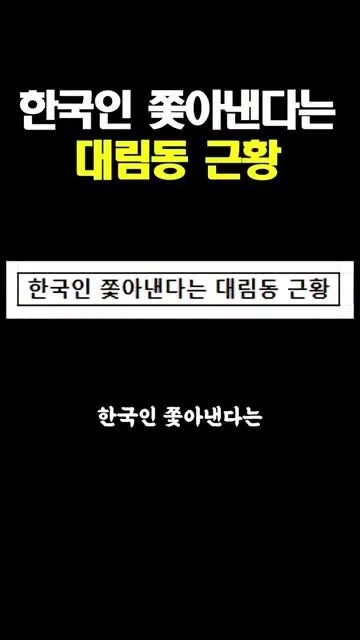 한국인 쫓아낸다는 대림동 근황