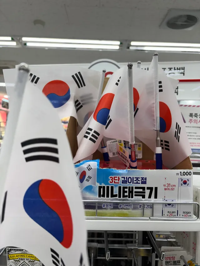 와 다이소 태극기