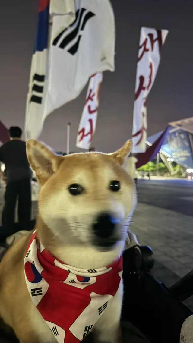 재-선-거
재-선\거