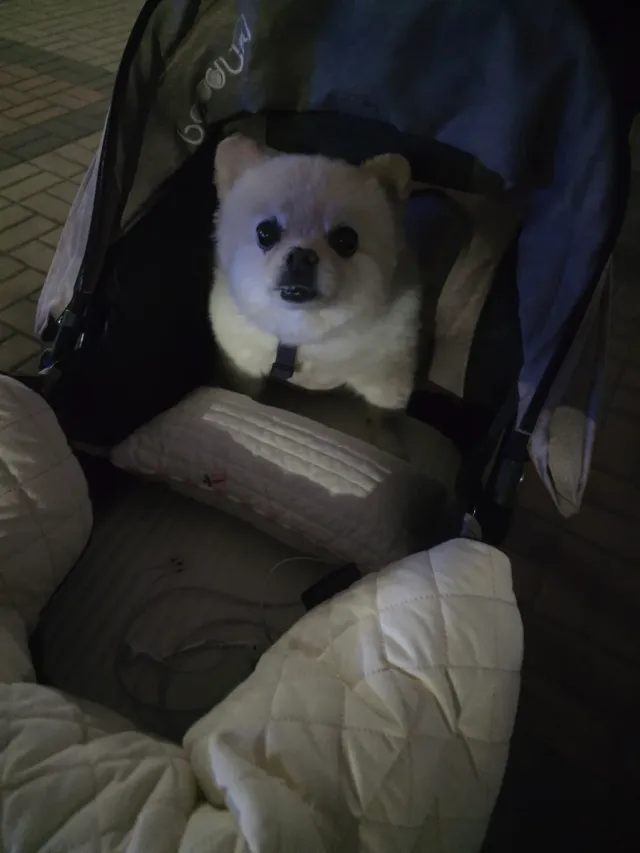 먼저 가보겠습니다  다들 화이팅 !
멸공🫡