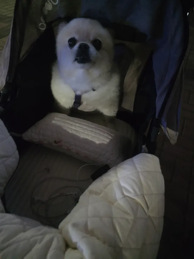 먼저 가보겠습니다  다들 화이팅 !
멸공🫡