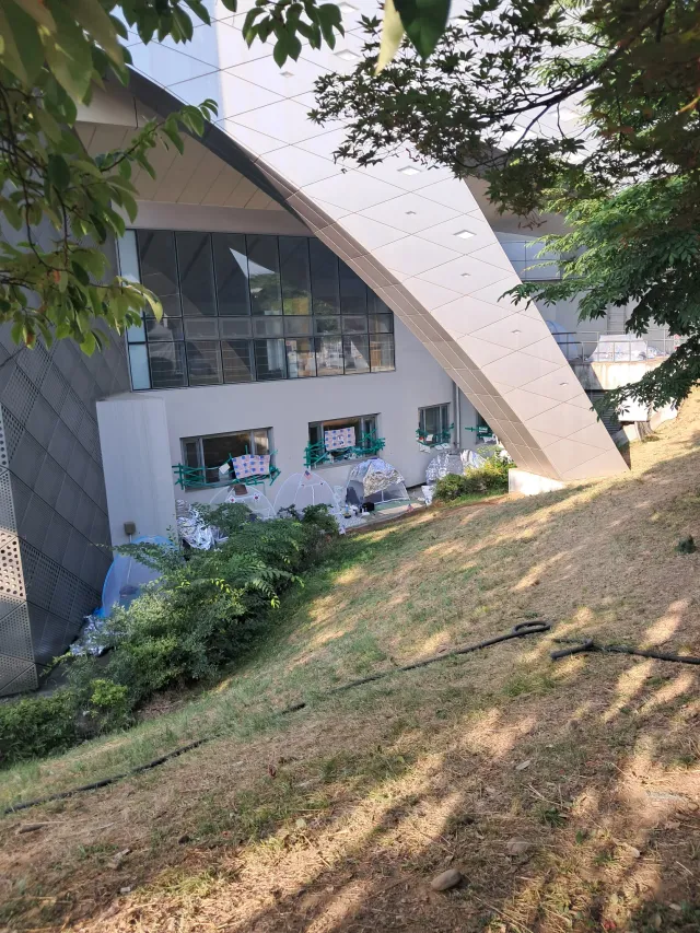 올공 평일 아침 순찰 돌다가
나도 저 내향인존에 가보고싶었는데..
저긴 도대체 어떻게 가는거야??
길이 따로 있어?
특히 두번째사진은 들어가려면