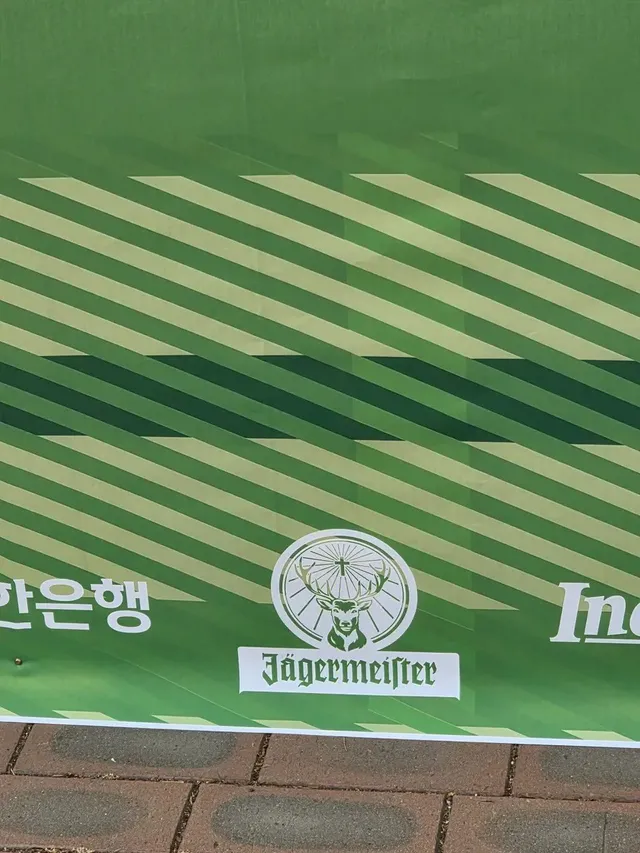 이거 널리 퍼뜨려주세요..! 아는 사람 많아져야 좋아요 꼭! 그리고 이날 이 페스티벌 가는 사람들 몸조심하시고 잠실 주민분들은 항상 조심하세요.