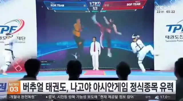 이번 아시안게임에 버추얼 태권도가 채택됐다던데
재밌어보여