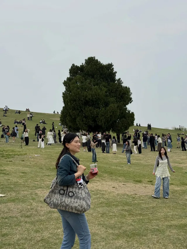 올림픽공원#나무
2026.5.2